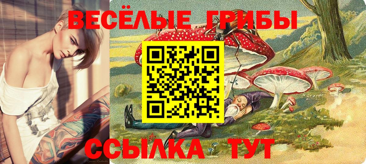 Псилоцибиновые грибы Cubensis Ялуторовск