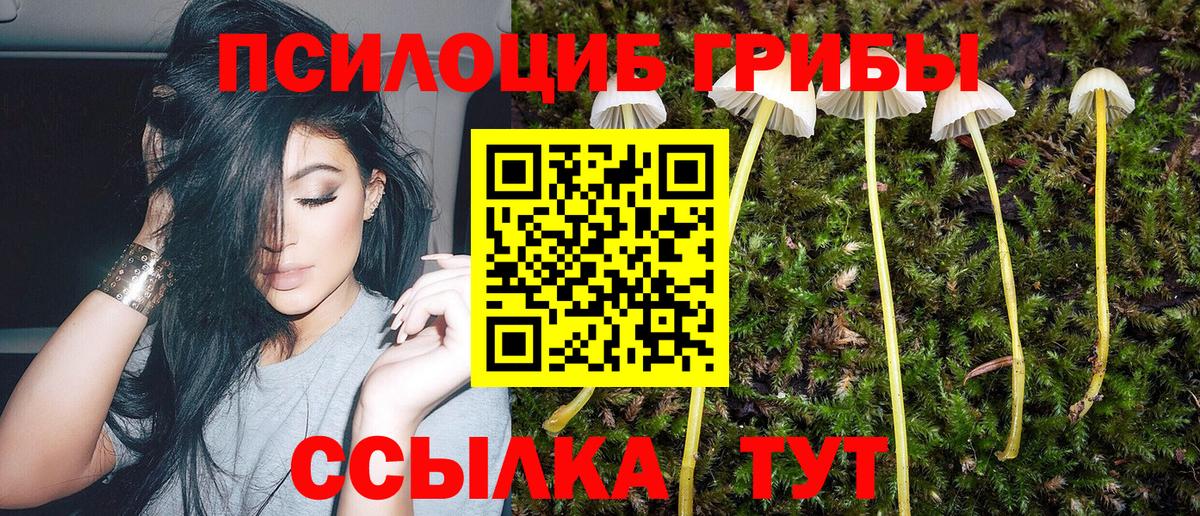 Ялуторовск  Псилоцибиновые грибы GOLDEN TEACHER  Галлюциногенные грибы мицелий  Вход с VPN 